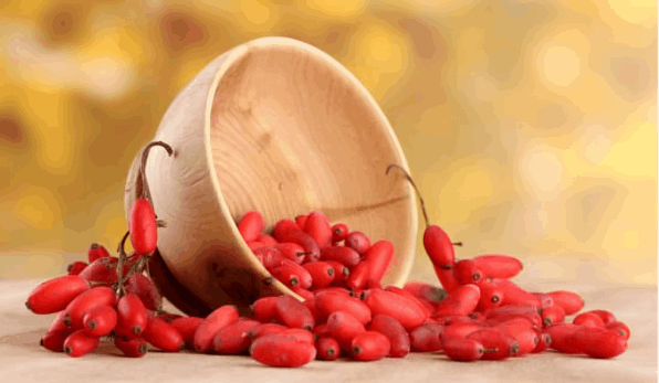Berberine Patches
